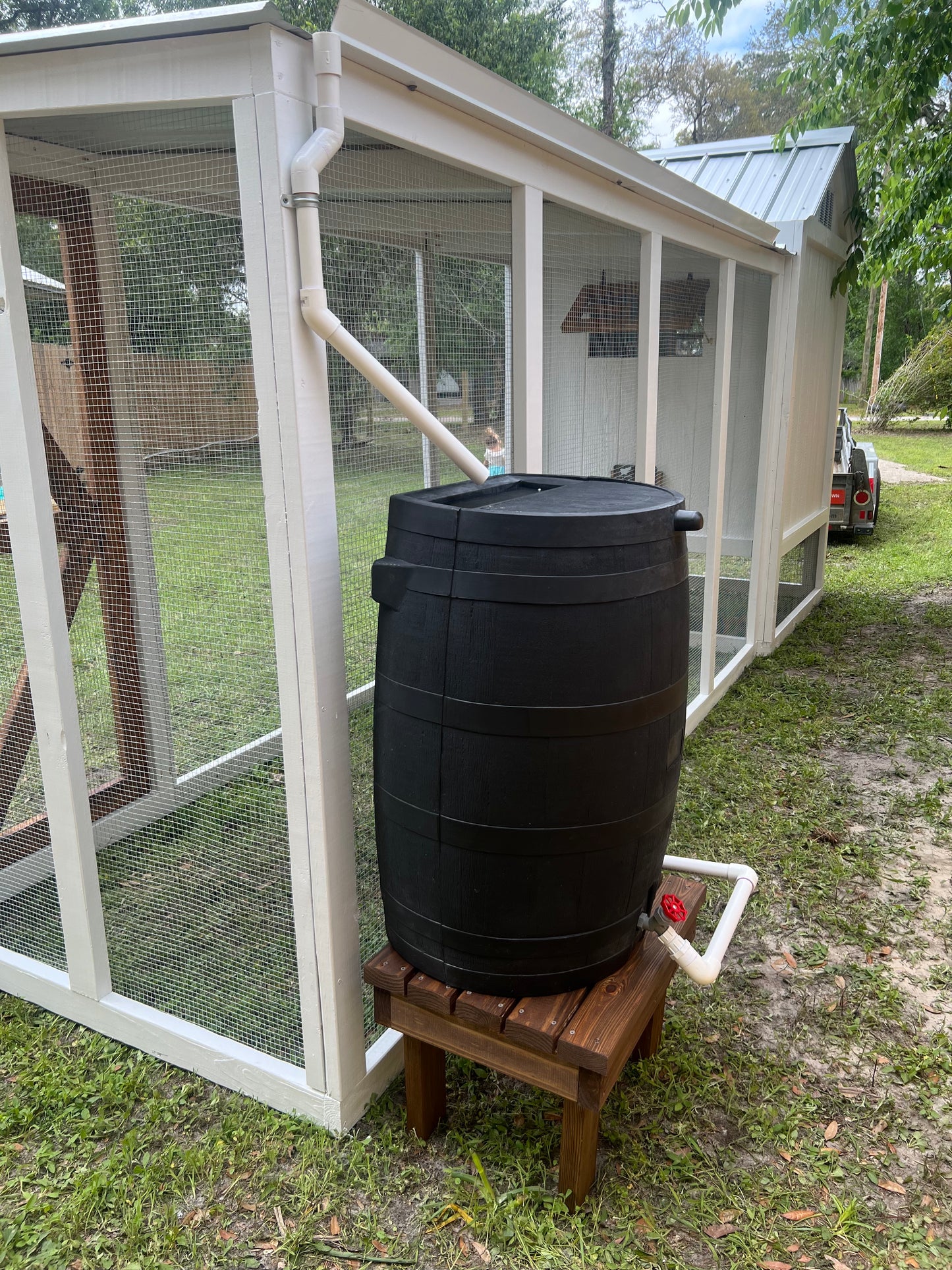 Chicken Coop Rain Watering System